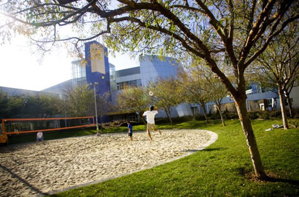 Google's Organizational Culture Allows There To Be Volleyball Time